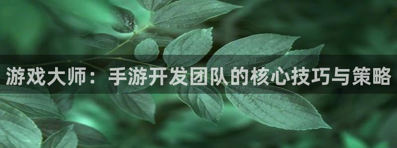 三牛娱乐负责人是谁：游戏大师：手游开发团队的核心技巧与策略