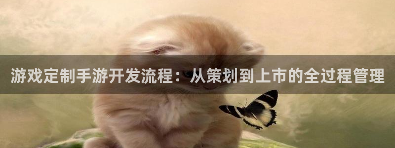 三牛公司：游戏定制手游开发流程：从策划到上市的全过程管理