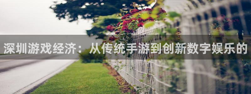 三牛娱乐管网怎么样：深圳游戏经济：从传统手游到创新数字娱乐的