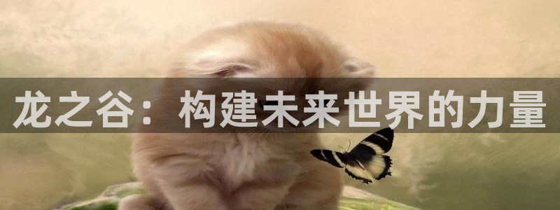 三牛娱乐测速系统：龙之谷：构建未来世界的力量