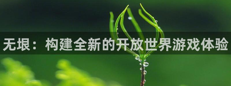 三牛娱乐哪里去了：无垠：构建全新的开放世界游戏体验