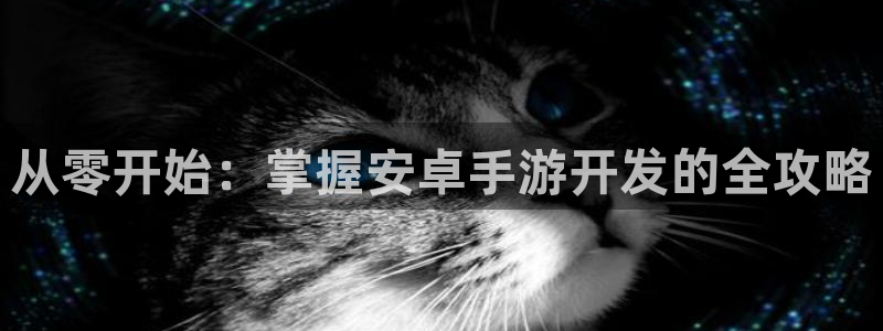 三牛公司：从零开始：掌握安卓手游开发的全攻略