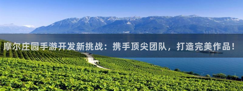 买三牛：摩尔庄园手游开发新挑战：携手顶尖团队，打造完美作品！