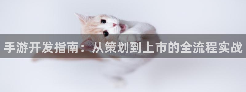 三牛娱乐测速系统app：手游开发指南：从策划到上市的全流程实