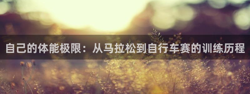betway西汉姆联