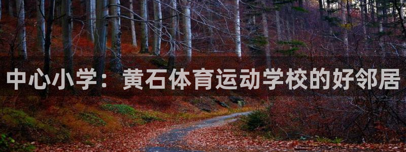 betway西汉姆