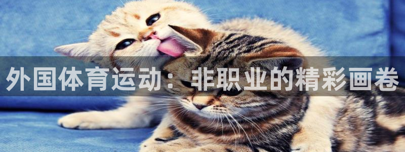 betway西汉姆联